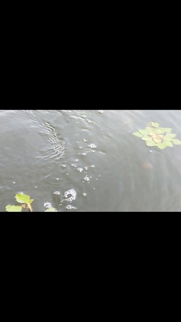 прогулка по озеру Казарь