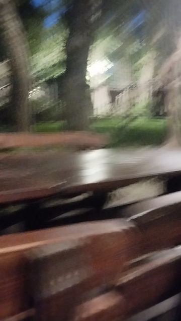 Я в лого 2