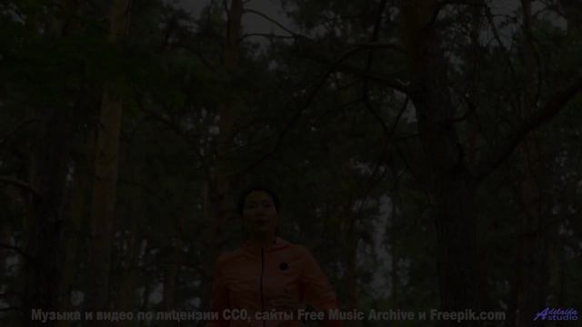 Кадры природы через призму нейросети - новый взгляд на реальность! - Rival of the Fittest -- One Man