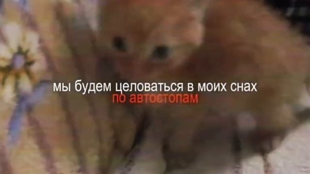 cocaltuuu_2025-04-29-23-07-12_1745950032287.mp4