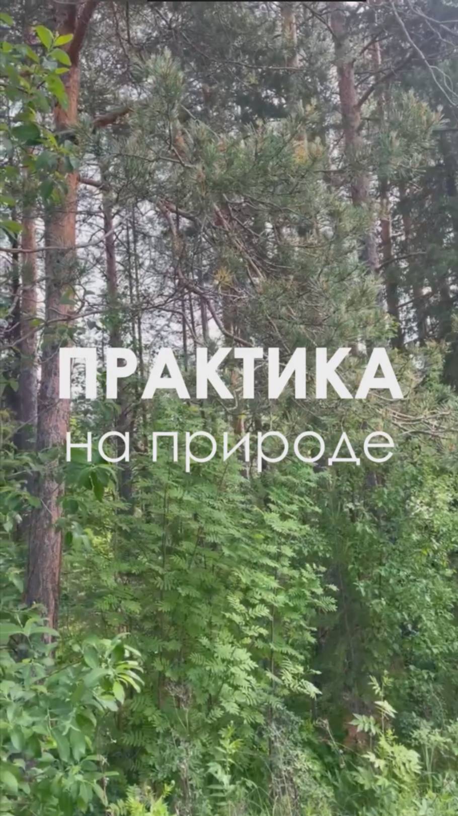 🌱Практика на природе🌱 #биология #природа #наука #школа #учёба #экзамены #пиявки #жуки #интересно