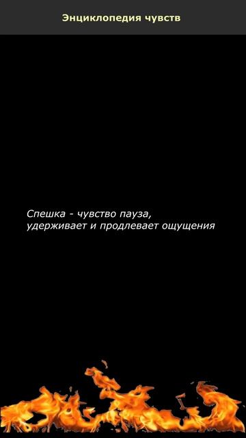 Спешка
