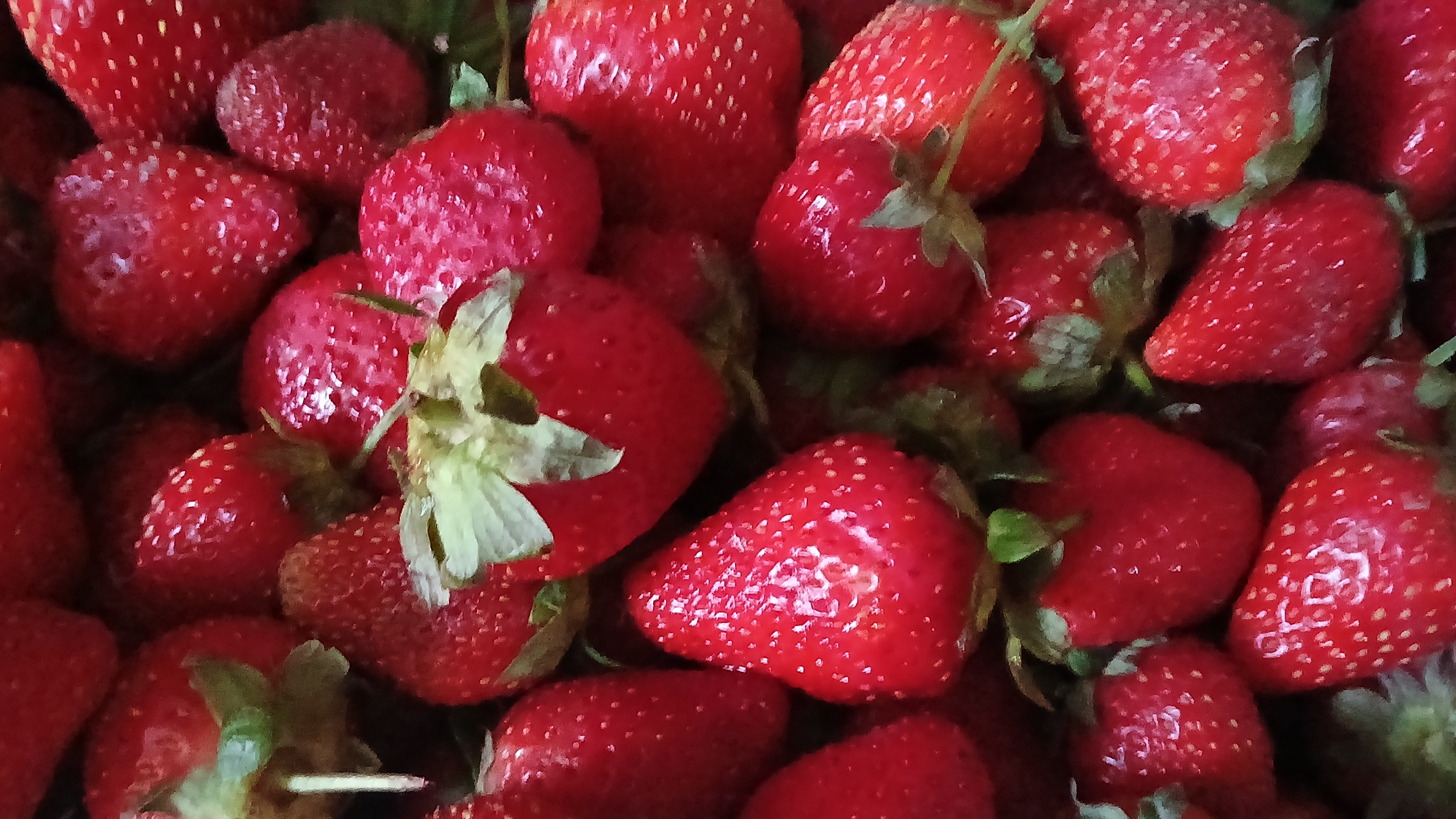 С днем клубники!