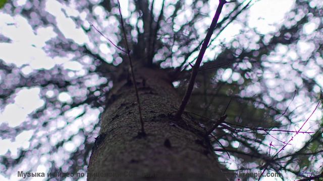 Саунд качает сердце, как ветер качает траву - Charting My Course -- Kirk Osamayo -- Season Two (GREE