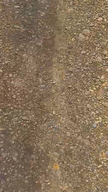 сердце думай головой