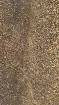 сердце думай головой