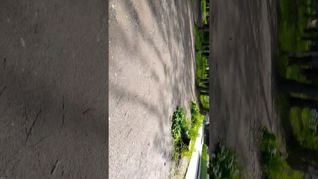 1000013795.mp4
