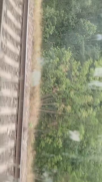 scene_output.mp4