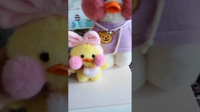 дарю маленький утят.