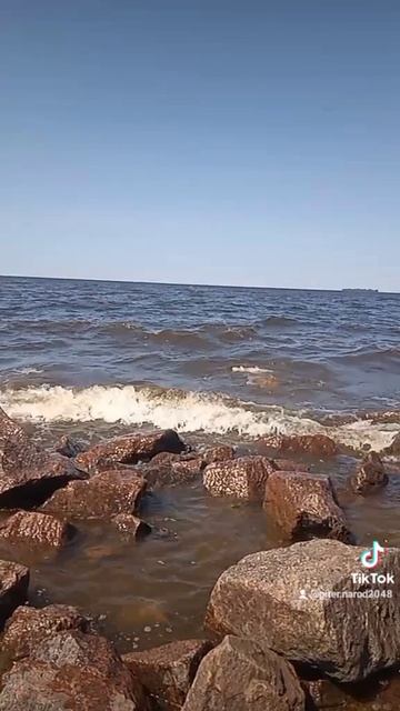 КУПАНИЕ В ФИНСКОМ ЗАЛИВЕ В КРАСНОСЕЛЬСКОМ РАЙОНЕ ПЕТЕРБУРГА