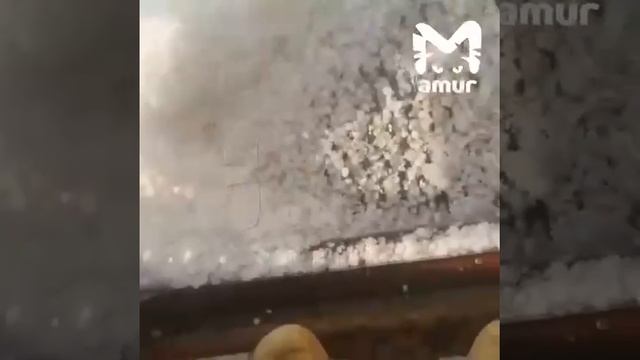 VID-20250617-WA0361