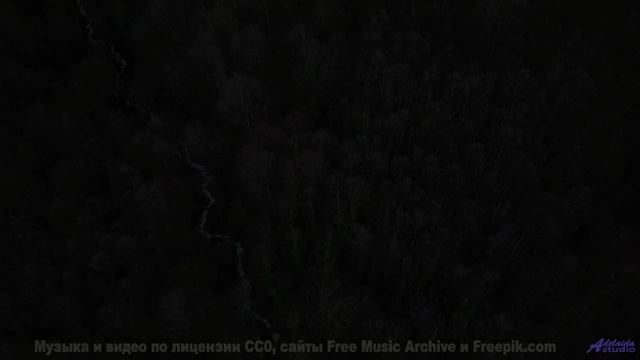 Лес, который ЗАПОМИНАЕТ каждого! - We-Know -- Ketsa -- Dimensions