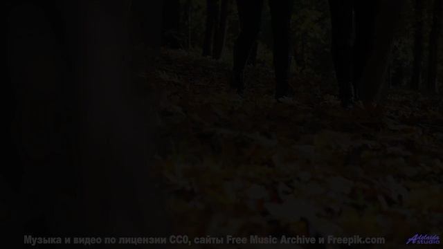 Ты НЕ СМОЖЕШЬ забыть это видео! - Bursting -- Ketsa -- The New World