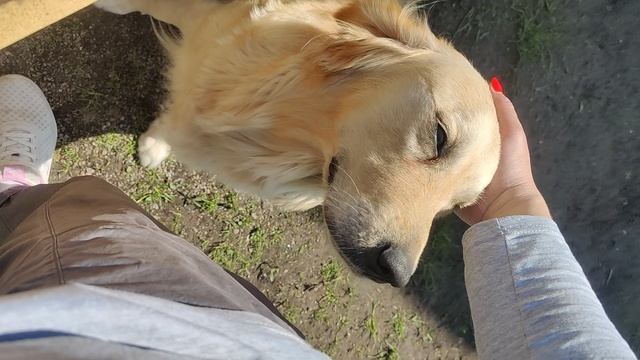 Артурка VID_20250614_125956