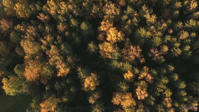 Пейзажи дышат вместе с этим мощным треком - Deny -- Double-F the King -- Discovery