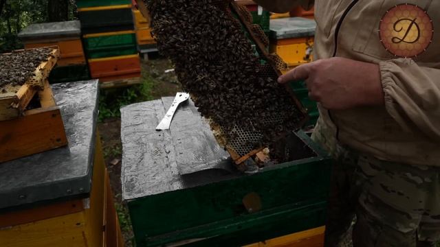 РЕЗУЛЬТАТЫ ВЫВОДА МАТОК