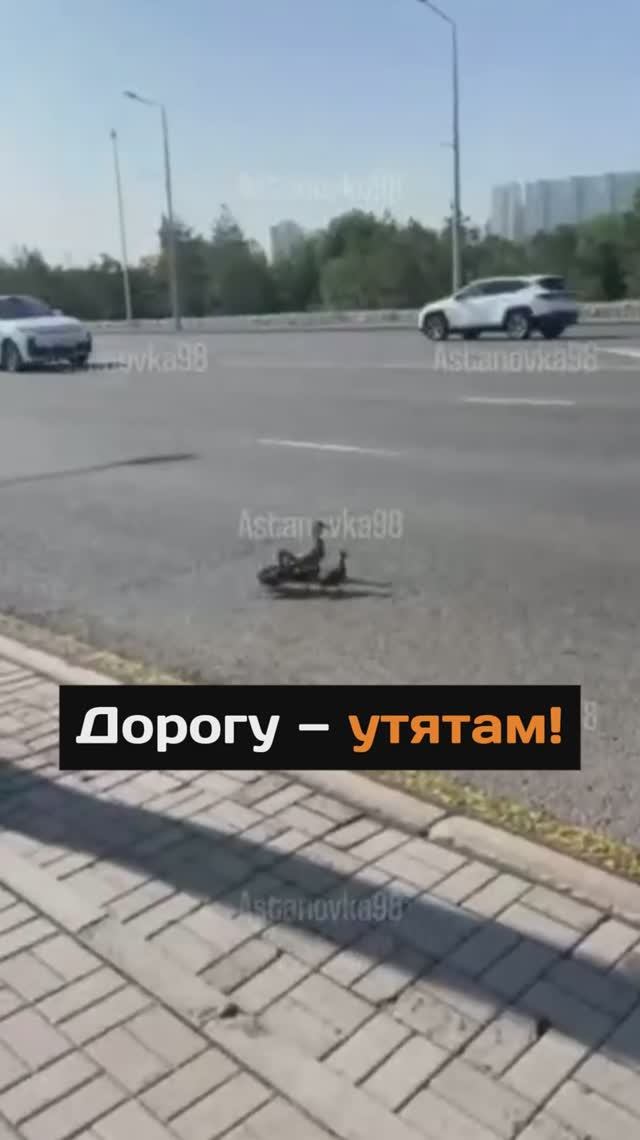 Удивительное сегодня