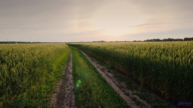 Это видео НЕ ДЛЯ СЛАБАКОВ! - Sad Away -- Ketsa -- Light Rising