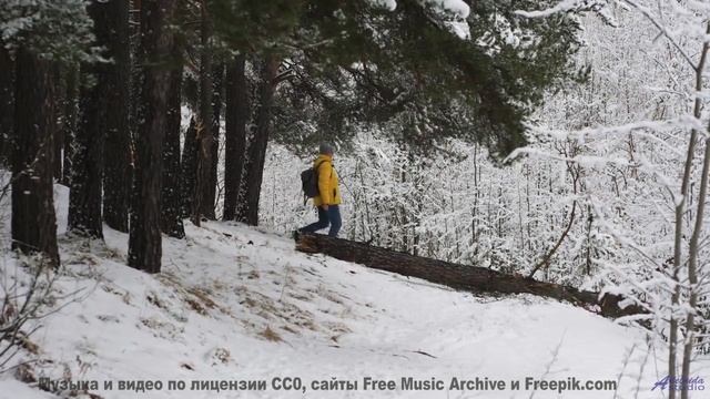 Природа, увиденная через квантовый микроскоп - невероятные детали! - Faithfully -- Overhill Ln -- OP
