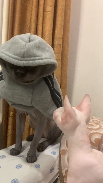 16 июля 2023 г.