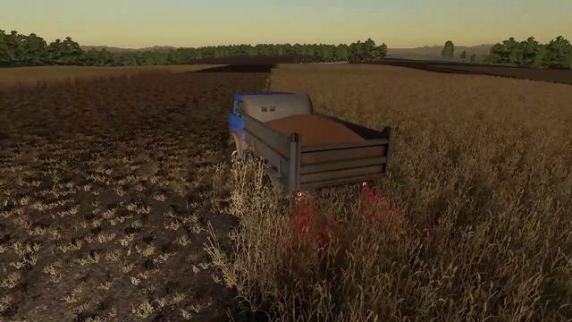 Farming Simulator 19/Карта Кошмак/Уборка полей.