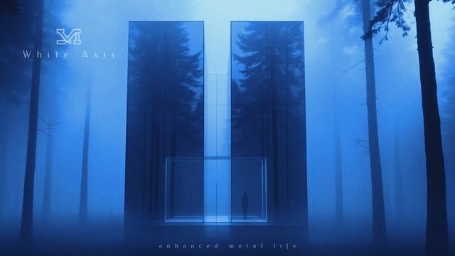 This Mysterious Forest Portal Will Blow Your Mind!