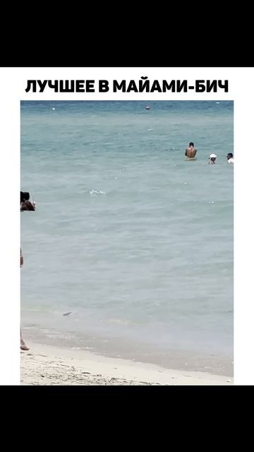 Расслабляющий день на пляже в Майами