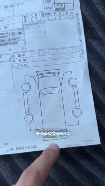 #shorts.mp4