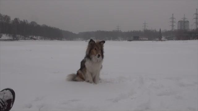 Лета 28.01.2020 в заливе