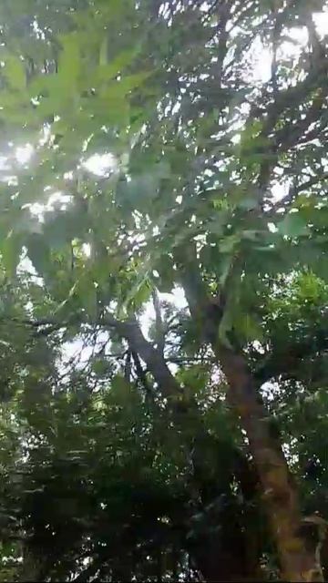 это
природа в станице Петровской.