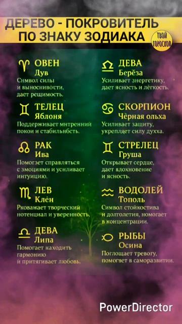 Дерево-покровитель по знаку зодиака