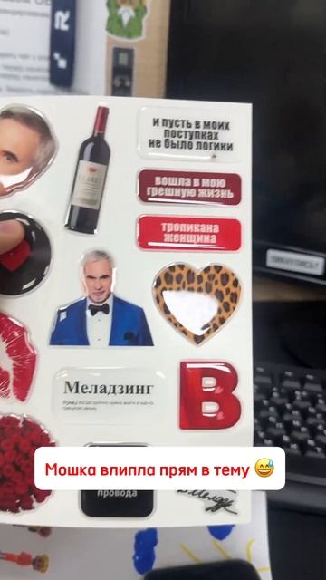 #наклейки #юмор #печатка #dtf #обзор #брендирование