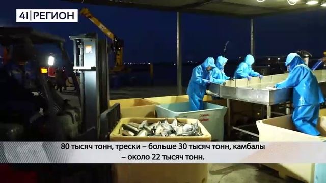 ПРОМЫШЛЕННАЯ ЛОВЛЯ НА КАМЧАТКЕ, ПО ДАННЫМ НА 15 ИЮНЯ, СОСТАВЛЯЕТ 34%• НОВОСТИ КАМЧАТКИ
