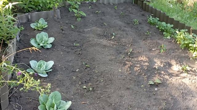 1000030097.mp4. 18-06-2025 года. Последствия урагана.