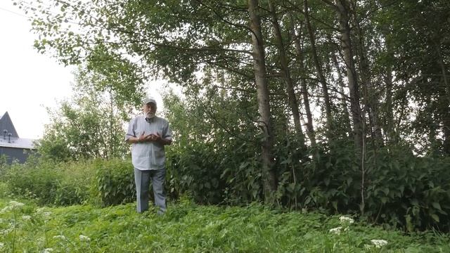 Флора Хлыновских дач