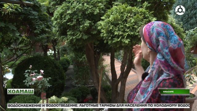Зизай фестиваль д1айолаенний регионе