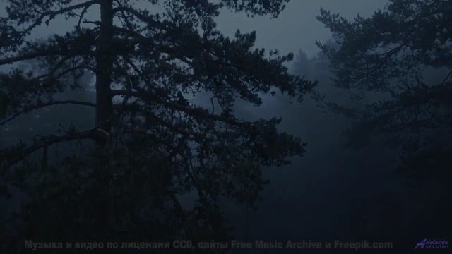 Поля колышутся в ритме! - Harvesting The Yanny Laurels -- Origami Repetika -- 2021 Tracks
