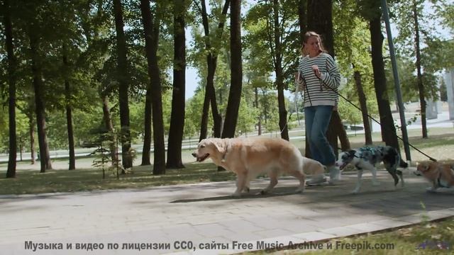 Ваша душа взлетит под эту музыку и эти виды - Spirals -- Ketsa -- Summer With Sound