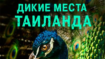 Дикие места Таиланда 2 серия | NAT Geo