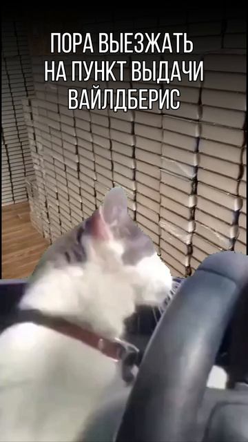 Поддерживаем вас Юмором каждый день!