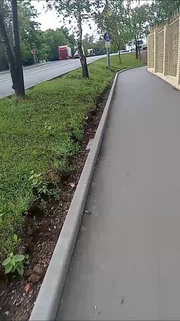 Чертановская прогулки