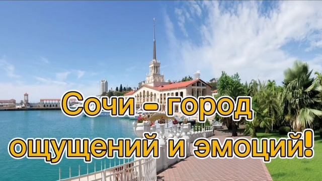 Сочи любимый город