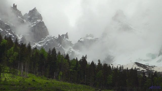 Лес поёт - вы слышите - Aloft -- Ketsa -- Bedding