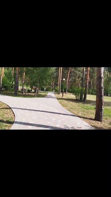 Стоунхендж в лесу