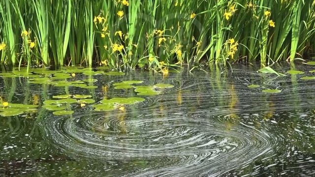 Кое-что о страсти сластолюбия. Часть 4