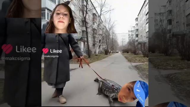 тралалелька