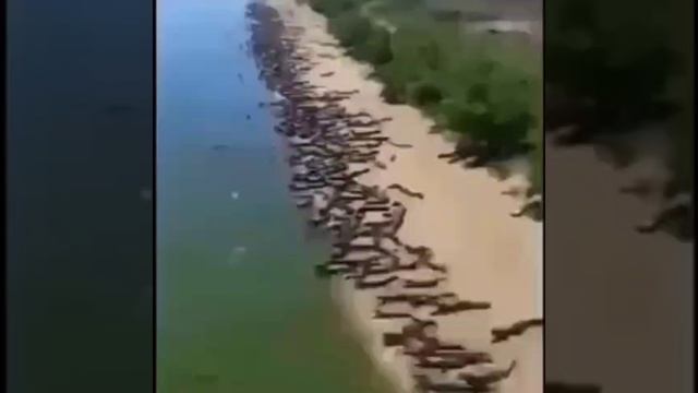ПОНАЕХАЛИ ТУТ....