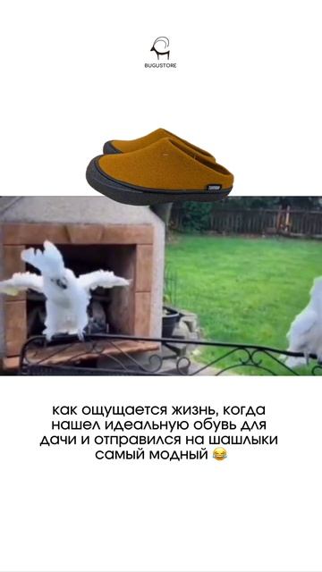 тапочки от BUGUSTORE