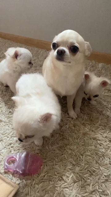Мы рады 🥰