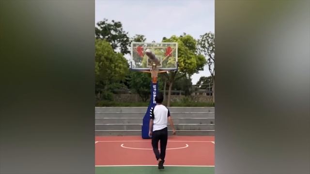 LIKE A BOSS COMPILATION #137 😎😎😎 AWESOME VIDEOS